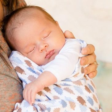 Ya se puede solicitar la devolución de las prestaciones de maternidad/paternidad 2014-2015